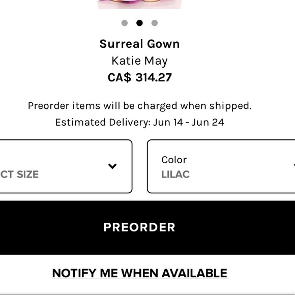 COPY - Revolve Katie may surreal dress - Picture 3 of 3